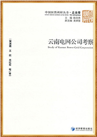 《云南电网公司考察》（2014.05）